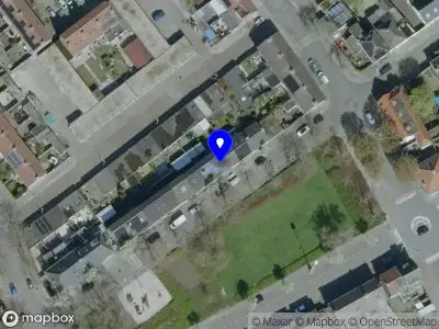 Teresita de Vedia Linguistic Services