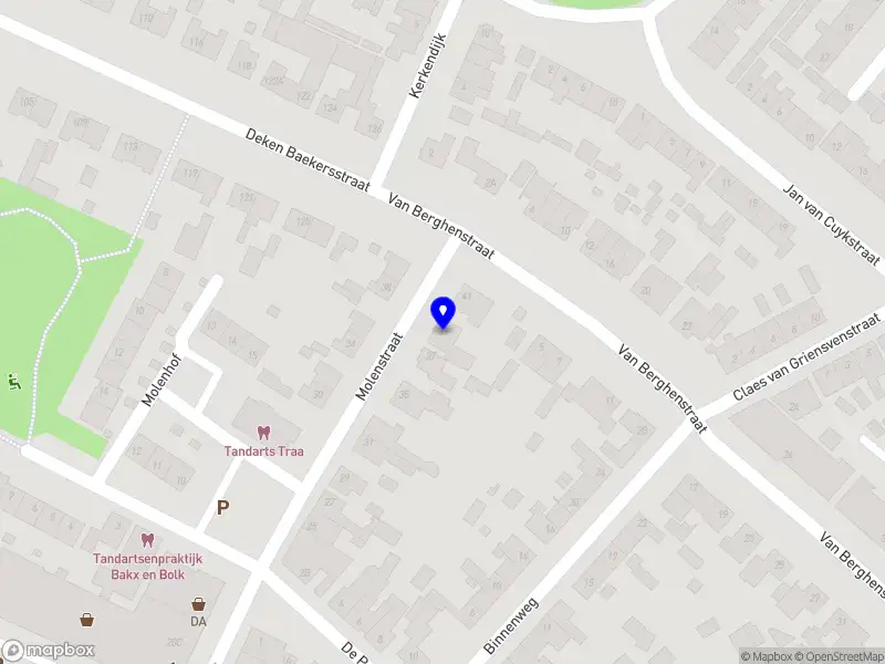 Jan van der Velden IT Consultant