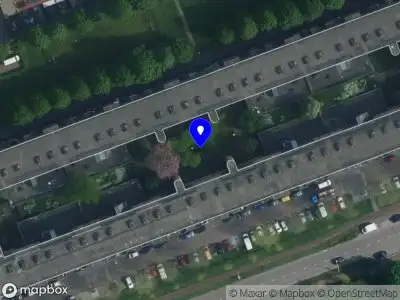 tulip cleaning Amsterdam