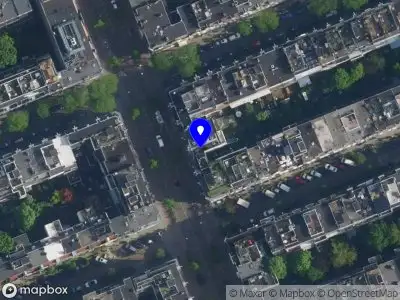 Online Kerstboom Shop