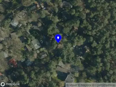 De Bosman Boomverzorging