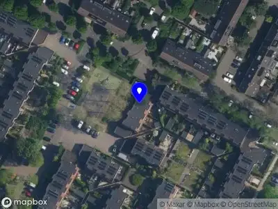 The Golden Tree Cosmetics