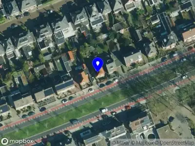 iQ Coach Marloes Willemsen