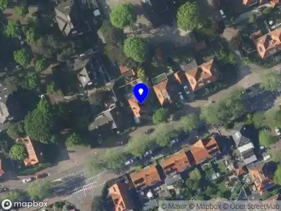 Tjeertje Vlaskamp Leadership Consulting BUSSUM