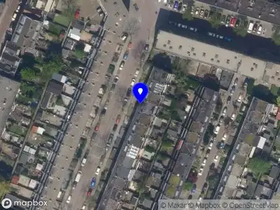 The Painting Redhead