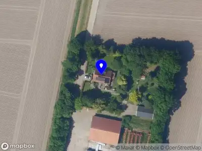 N.M. Lubberts, Tandprotheticus