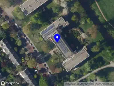 Stichting dierenzorg @Obi's