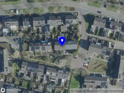Binky Pure Wijchen