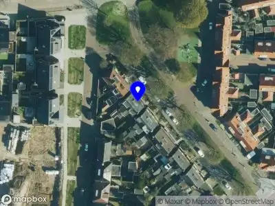 Nieuw bedrijf Loes Vogel