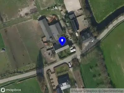 Fox and Bone tattoos