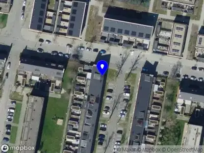 E.S. management adviseur