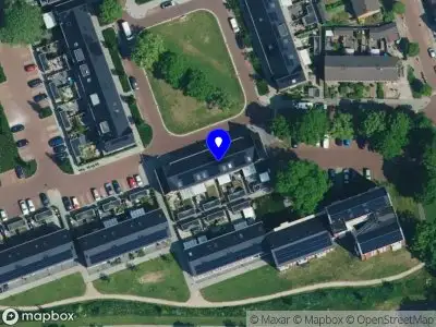 Blij schaap Deventer