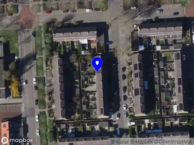 Rauw groep Terneuzen