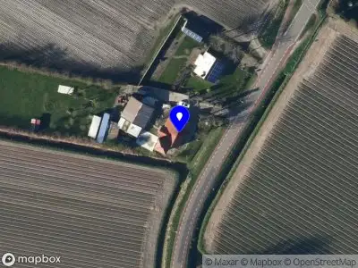 Nieuw bedrijf Wien's Cleaning Service