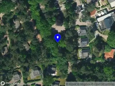 Rory Feenstra, Management & Consulting