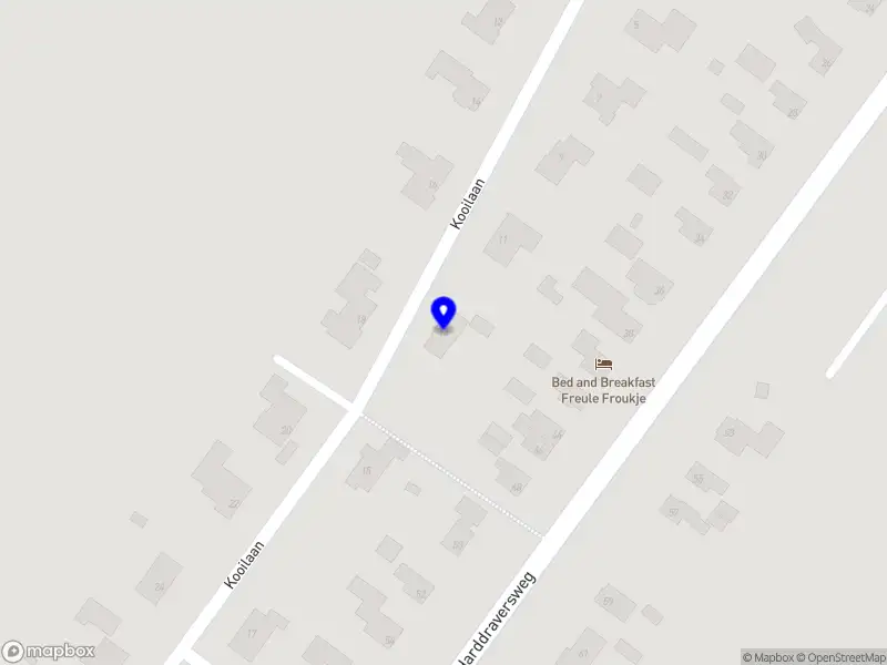 Leonie Boerema Joure