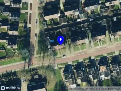 Lijster infra Meppel