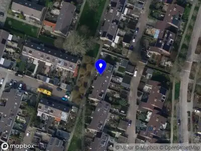 Rhino Sports and Activities