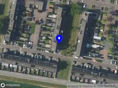 Hungarians in the Netherlands