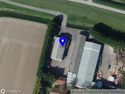 XXL Boomstamtafels Heinenoord