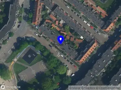 Life Explorations with Mili