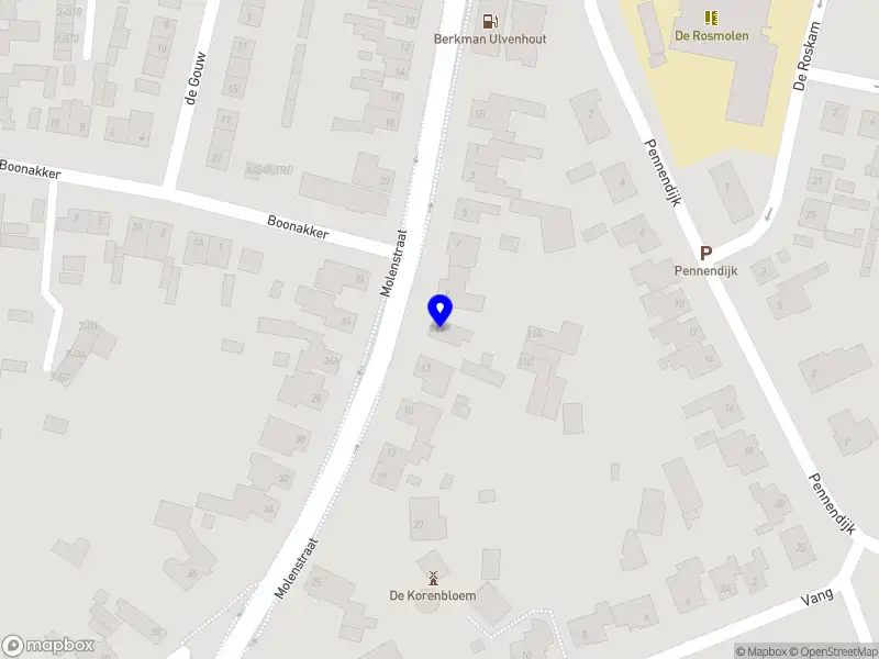 Nieuw bedrijf La Tortue Rapide B.V.