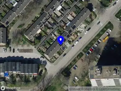 Service Telecom & internet trading