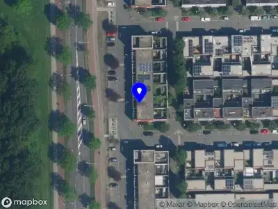 Nieuw bedrijf Kunstenaar Maja Vucetic