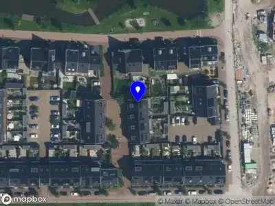 Fittevis Haarlem