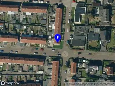 De kleurrijke beertjes Doetinchem