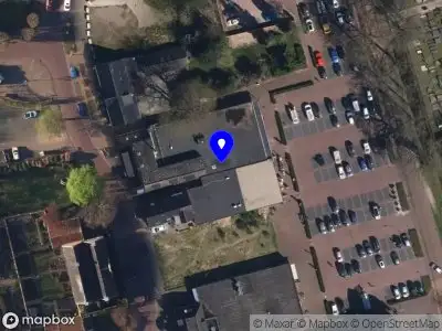 De Cedrus tuinonderhoud