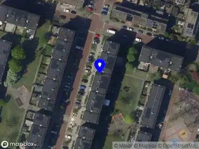 Golden Phoenix Coaching