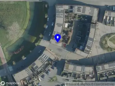 BvD Training & Coaching