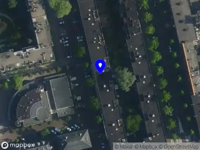 Mara Pestel Amsterdam