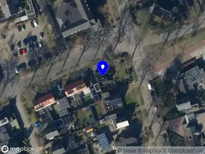 Marlous de Jong Neerlandica