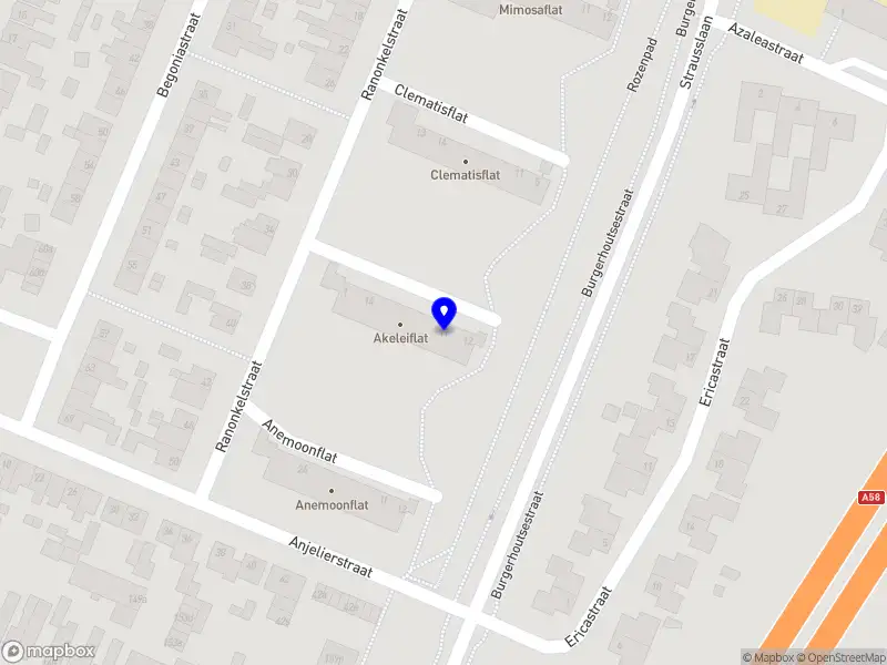 Pico Bello Nederland