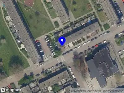 Angelique Schoonmaak