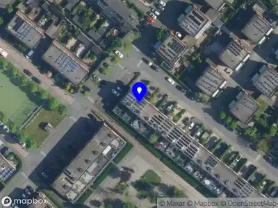 Lin Lingo Translate & consulting service