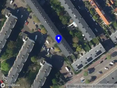 Nieuw bedrijf Nikita Zhelunitsin