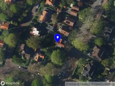 Nieuw bedrijf Nadine Illustraties