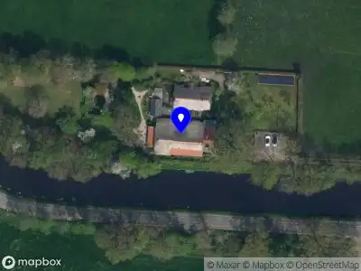 Mascha's Delight Chihuahuas