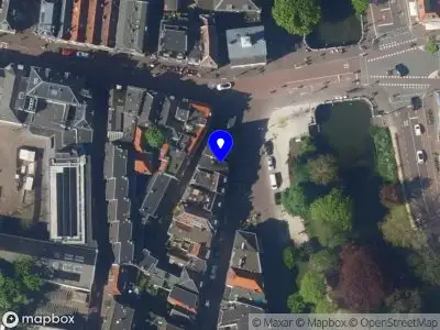 Little Porpoise Illustration Utrecht