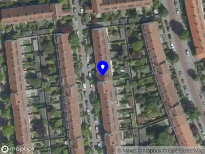 Peter Meeuwis Interim