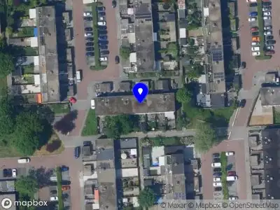 JANUS GOUDEN HAND Lelystad
