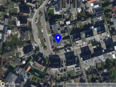 Nieuw bedrijf Van Loo Consultancy