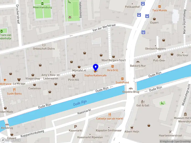 Nieuw bedrijf Sophie kattencafé