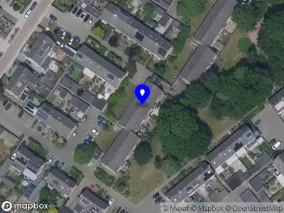 van den Brand Treeworks