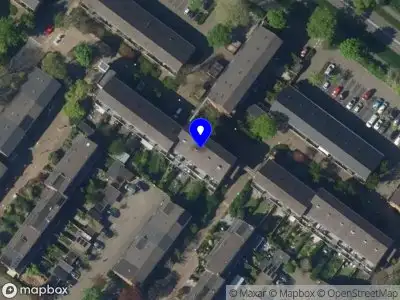 Nieuw bedrijf Lindsay Grace Weber