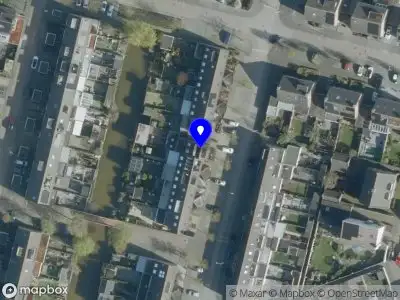De liefdevolle vlinder Tilburg