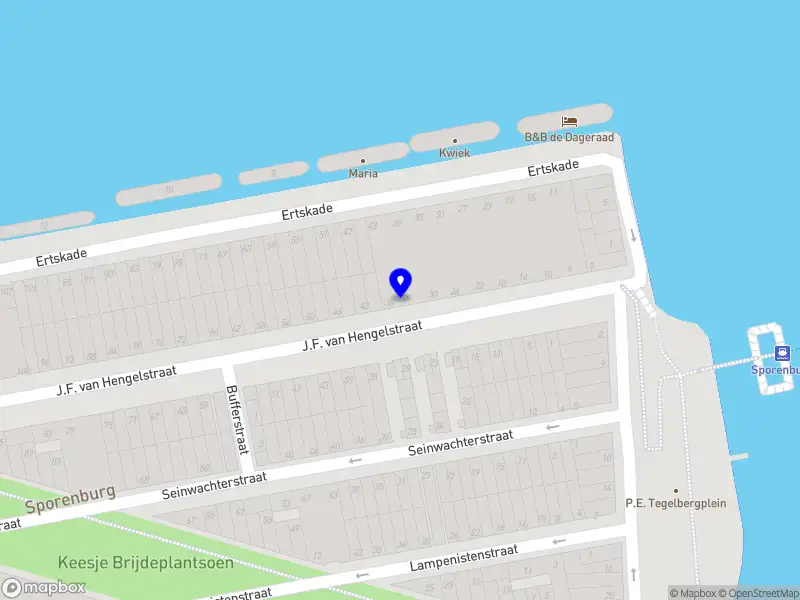 Vera van der Burg Amsterdam
